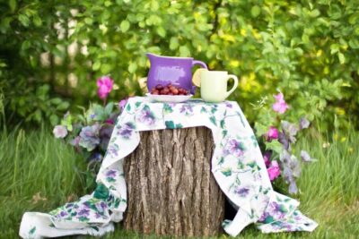Image of a stump decoreated with tablecloth and teaset and food