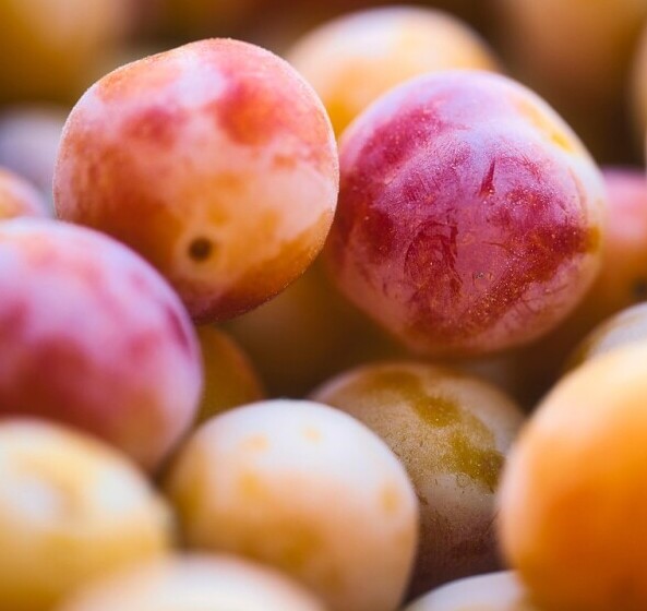 Image of fruit