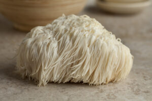 image of lions mane mushroom