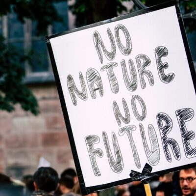 Image of sign with text "No Nature, No Future" with forest background
