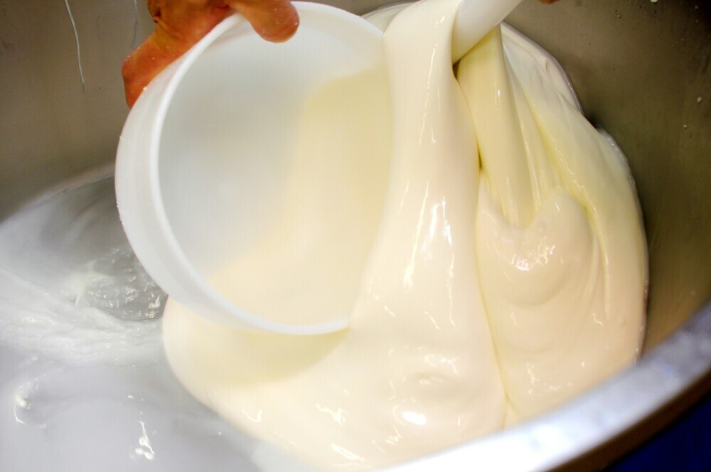image of clotted cream