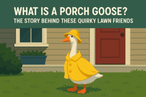 Gaggle Porch Geese Fun Facts And Information