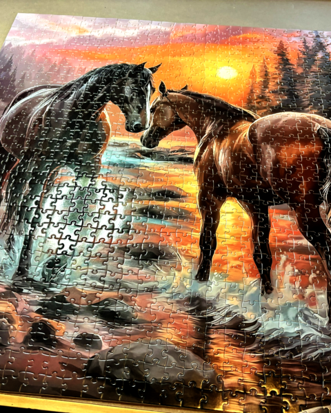 Image of finished horse puzzle.